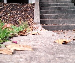 Meet your Posher, Md wahidul